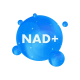 NAD+ 